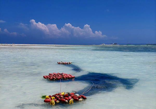 Turquoise lagoon
