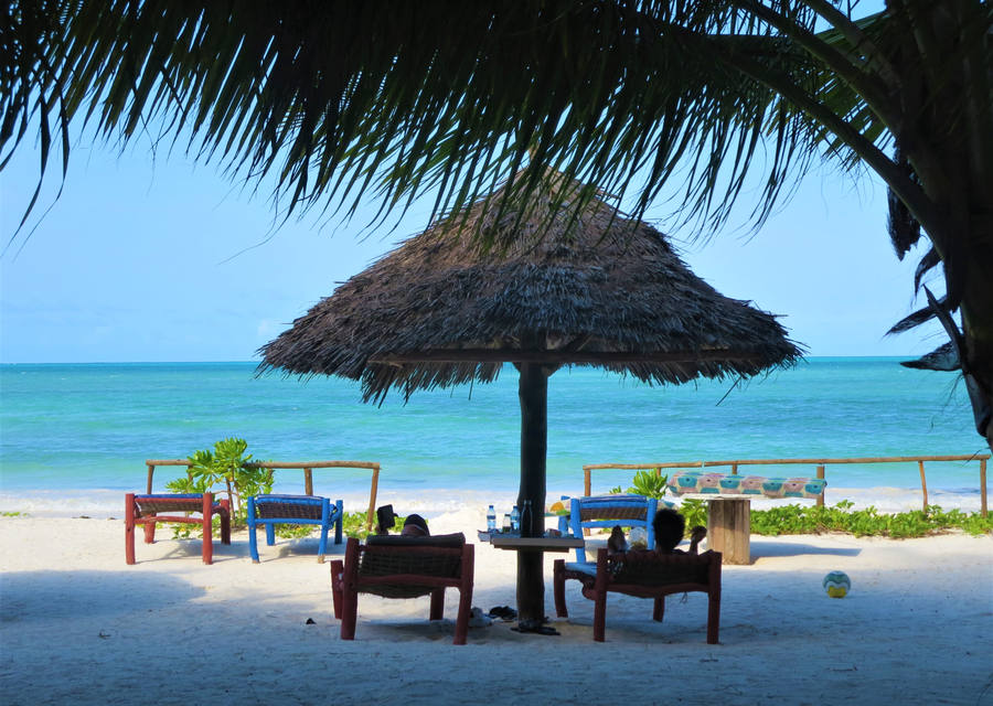 Beach with parasol and loungers