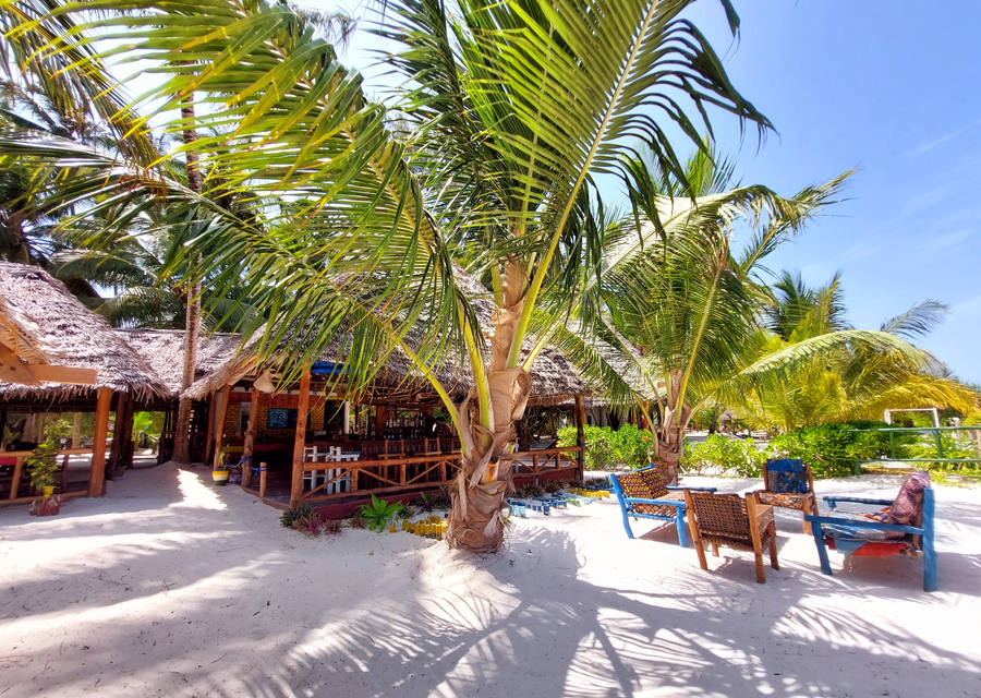 Beach bar under palm trees