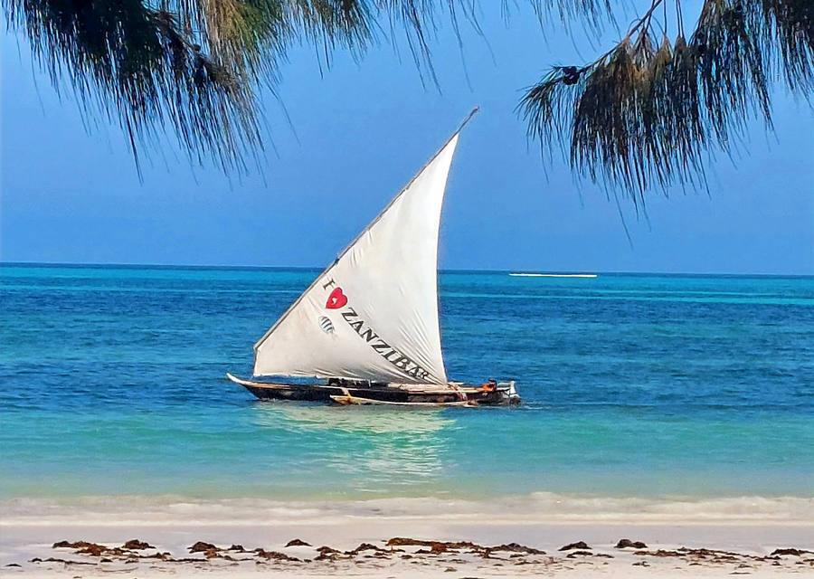 Traditional dhow sailing boat