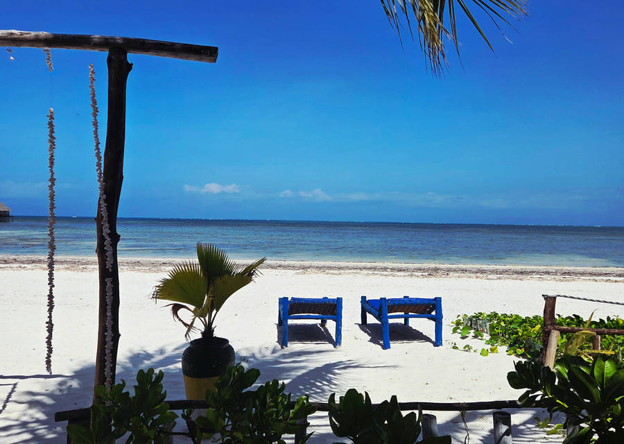Beach with wooden frame and shells